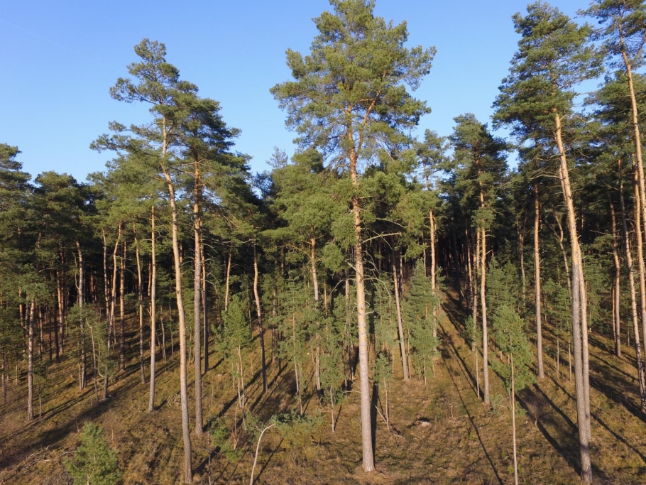 Luftbild (Flächengrenzen gelb markiert)