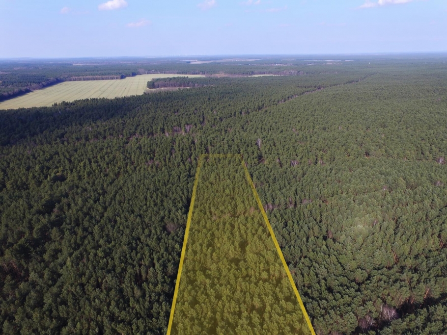 weiter Blick über die gelb markierte Fläche