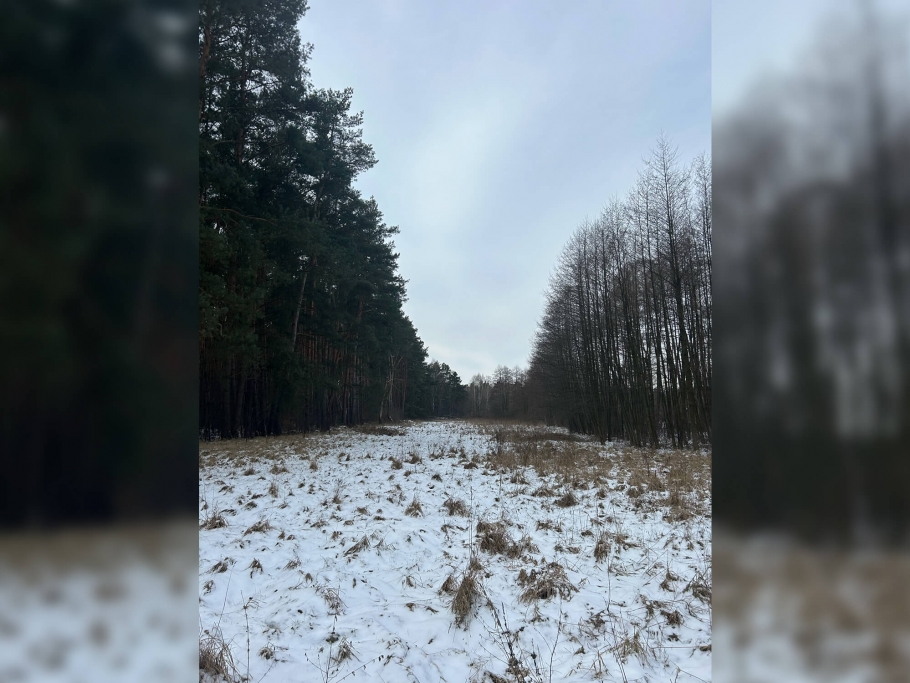 Blick ins nördlich gelegene Gründland